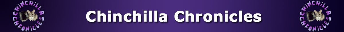 Chinchilla Chronicles - Home to Chinchilla Care and Education.