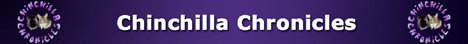 Chinchilla Chronicles