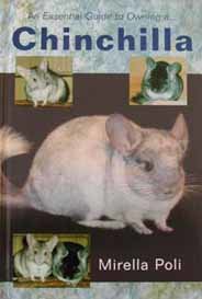 An Essential Guide to Owning a Chinchilla An Essential Guide to Owning a Chinchilla