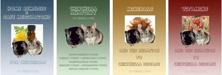 Mini Booklet Series. Mini Booklet Series.