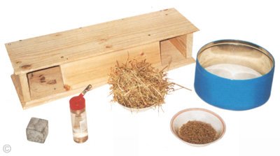 Essential chinchilla items - chinchilla pellets, hay, water, dustbath and pumice stone. � Chinchilla Chronicles.