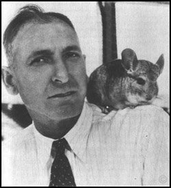Chinchilla Habitat - Mathias Chapman with one of his original chinchillas.  Chinchilla Habitat - Mathias Chapman with one of his original chinchillas.