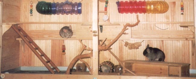 Chinchilla Cages Homemade