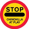Chinchilla Exercise - Make sure everyone in your household knows when your chinchilla is out to play. Chinchilla Exercise - Make sure everyone in your household knows when your chinchilla is out to play.
