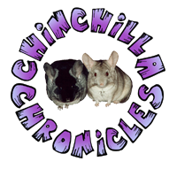 Chinchilla Chronicles - Home to Chinchilla Care and Education.  Chinchilla Chronicles - Home to Chinchilla Care and Education.