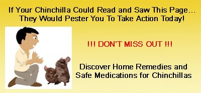 *** DON'T MISS OUT *** DON'T MISS OUT *** *** DON'T MISS OUT *** DON'T MISS OUT ***